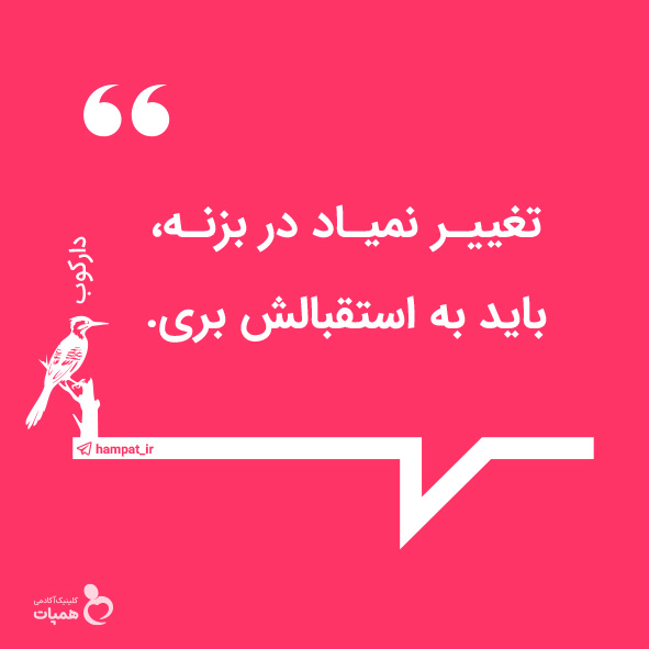 tweet.telegram8